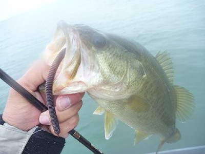 truth news ブログ写真 2012/10/18