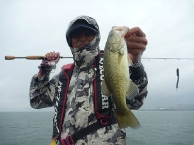 truth news ブログ写真 2012/10/18