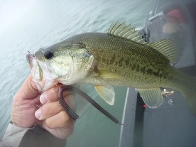 truth news ブログ写真 2012/10/18