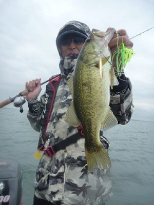 truth news ブログ写真 2012/10/18