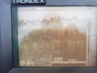 truth news ブログ写真 2012/10/18