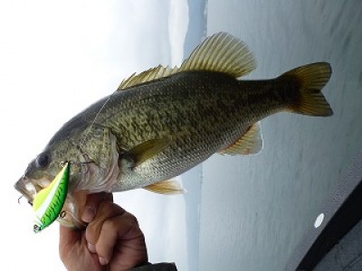 truth news ブログ写真 2012/10/19