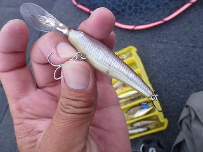 truth news ブログ写真 2012/10/19