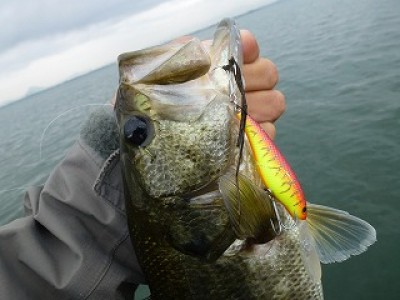 truth news ブログ写真 2012/10/19