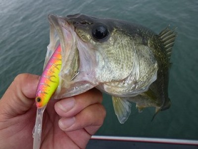 truth news ブログ写真 2012/10/19