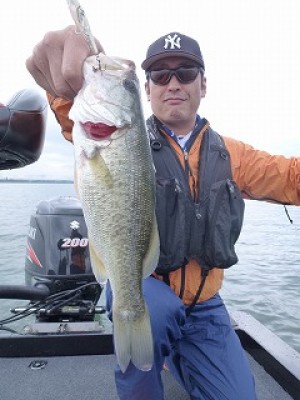 truth news ブログ写真 2012/10/19