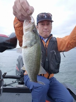 truth news ブログ写真 2012/10/19