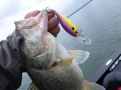 truth news ブログ写真 2012/10/19