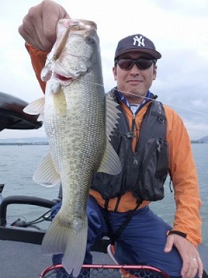 truth news ブログ写真 2012/10/19