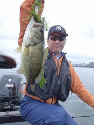 truth news ブログ写真 2012/10/19