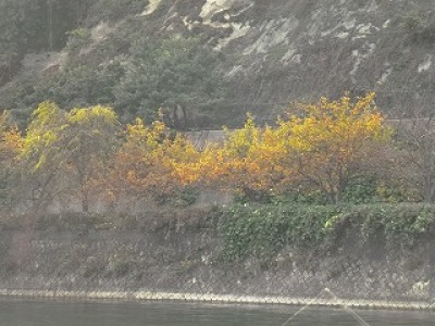 truth news ブログ写真 2012/10/25