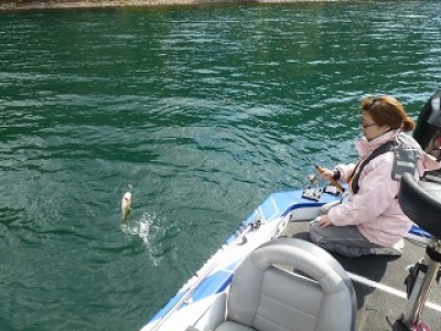 truth news ブログ写真 2012/10/25