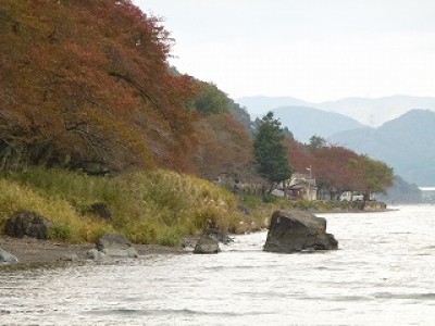 truth news ブログ写真 2012/11/02