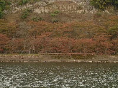 truth news ブログ写真 2012/11/04