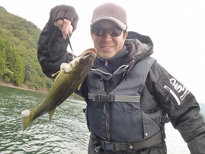 truth news ブログ写真 2012/11/04