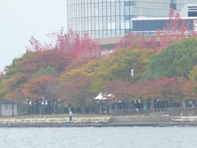 truth news ブログ写真 2012/11/06