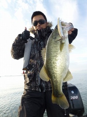 truth news ブログ写真 2012/11/06