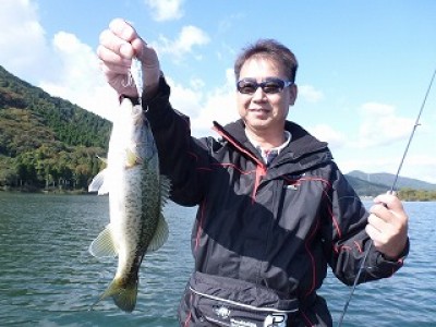 truth news ブログ写真 2012/11/07