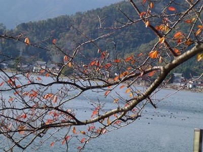 truth news ブログ写真 2012/11/14