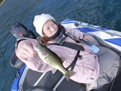 truth news ブログ写真 2012/11/14