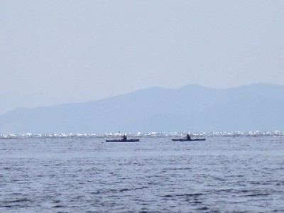 truth news ブログ写真 2012/11/14