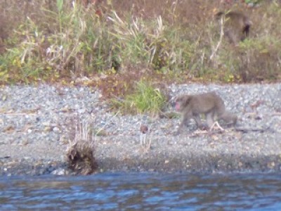 truth news ブログ写真 2012/11/14