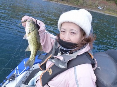 truth news ブログ写真 2012/11/14