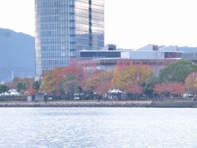 truth news ブログ写真 2012/11/16