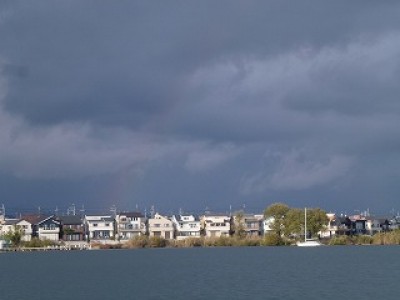 truth news ブログ写真 2012/11/16