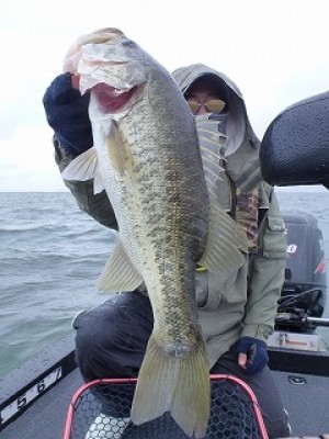 truth news ブログ写真 2012/11/16