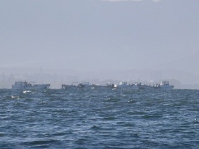 truth news ブログ写真 2012/11/17