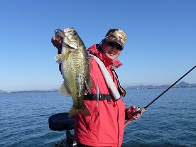 truth news ブログ写真 2012/11/17