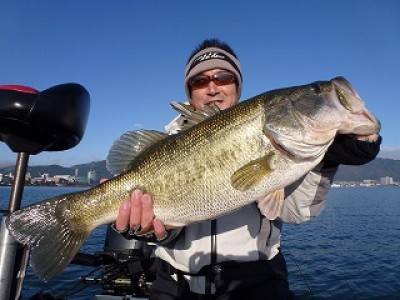 truth news ブログ写真 2012/11/17