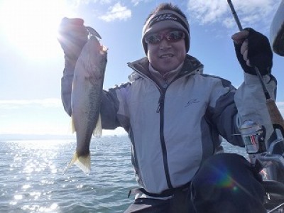 truth news ブログ写真 2012/11/17