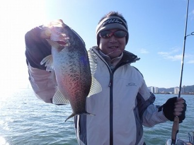 truth news ブログ写真 2012/11/17