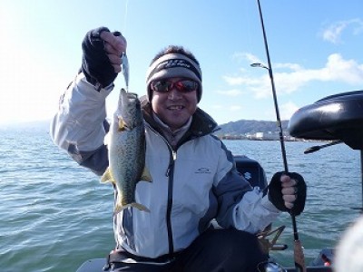 truth news ブログ写真 2012/11/17