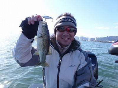 truth news ブログ写真 2012/11/17