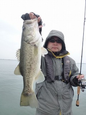 truth news ブログ写真 2012/11/17