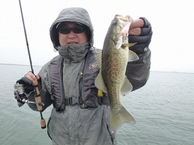 truth news ブログ写真 2012/11/17