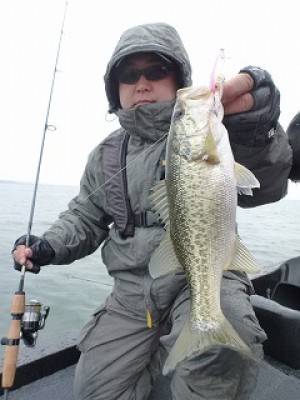 truth news ブログ写真 2012/11/17