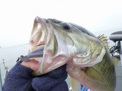 truth news ブログ写真 2012/11/17