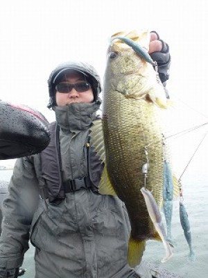 truth news ブログ写真 2012/11/17