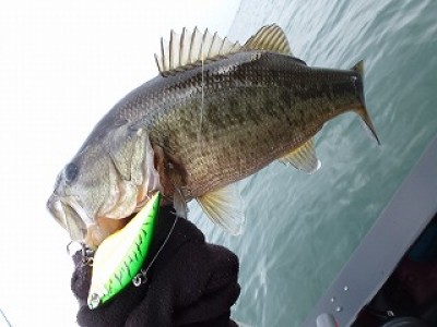 truth news ブログ写真 2012/11/21