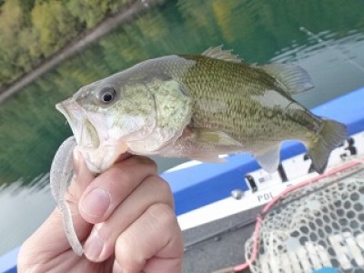 truth news ブログ写真 2012/11/22