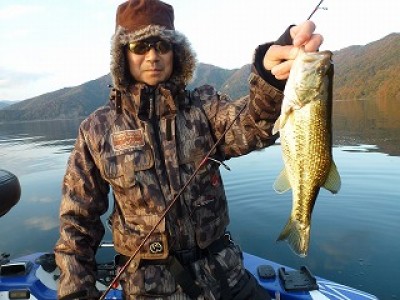 truth news ブログ写真 2012/11/22