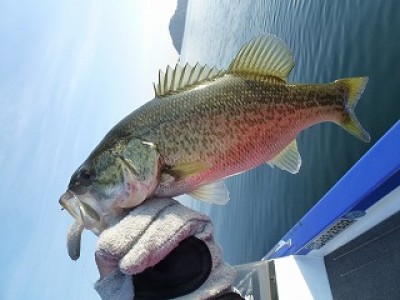 truth news ブログ写真 2012/11/22