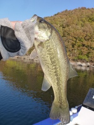 truth news ブログ写真 2012/11/22