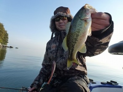 truth news ブログ写真 2012/11/22