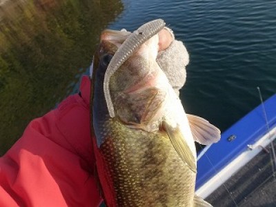 truth news ブログ写真 2012/11/22