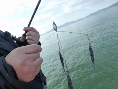 truth news ブログ写真 2012/11/22